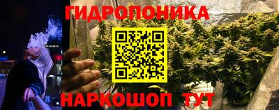 ГАЛЛЮЦИНОГЕННЫЕ ГРИБЫ Волжский