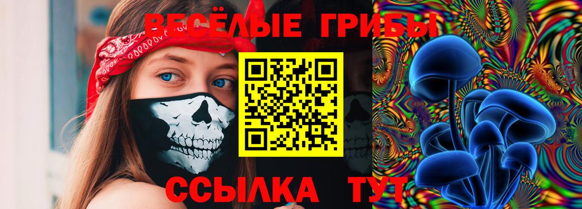 Галлюциногенные грибы прущие грибы  что такое   Гусиноозёрск  Галлюциногенные грибы ЛСД 